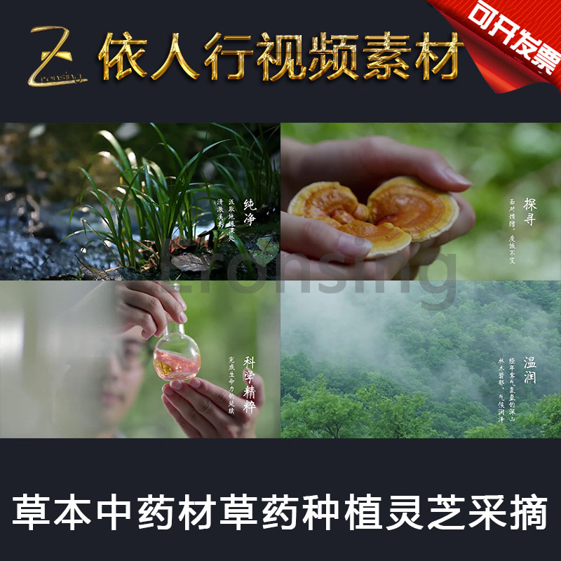LED素材大屏幕舞台视频背景素材 草本中药材草药种植种植灵芝采摘