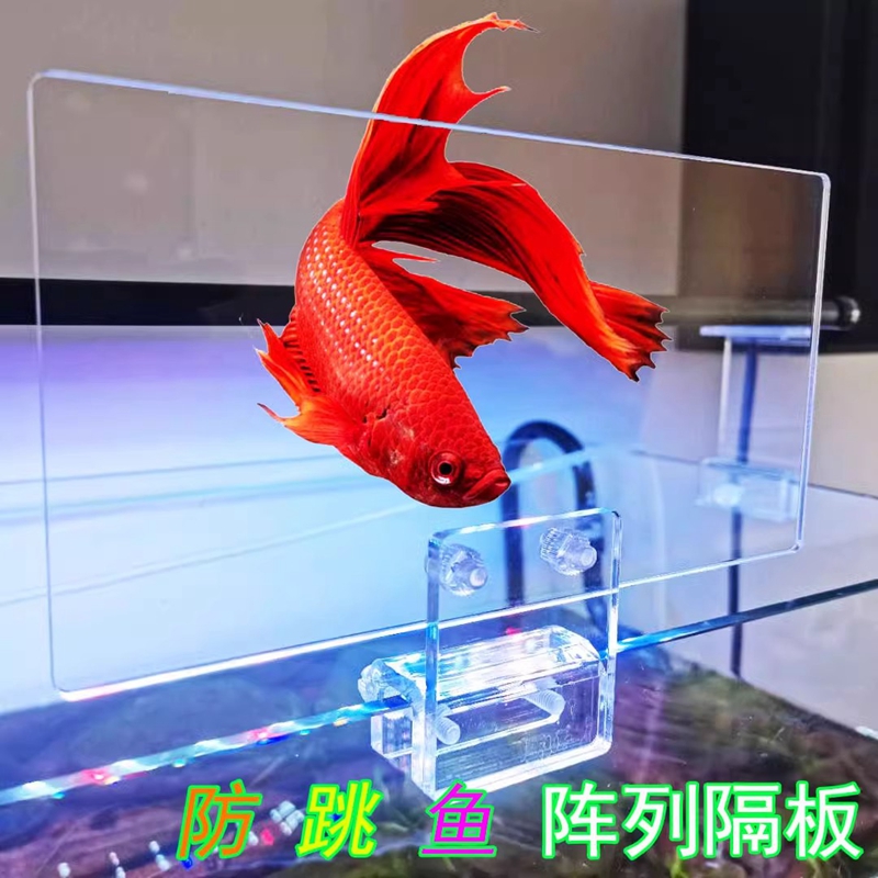 鱼缸加高亚克力挡板乌龟缸防止越狱挡板防止跳缸