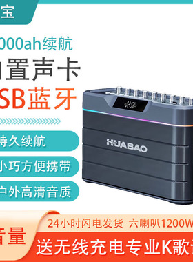 华宝德国柏林之声户外音响大功率广场舞蓝牙卡拉OK萨克斯二胡