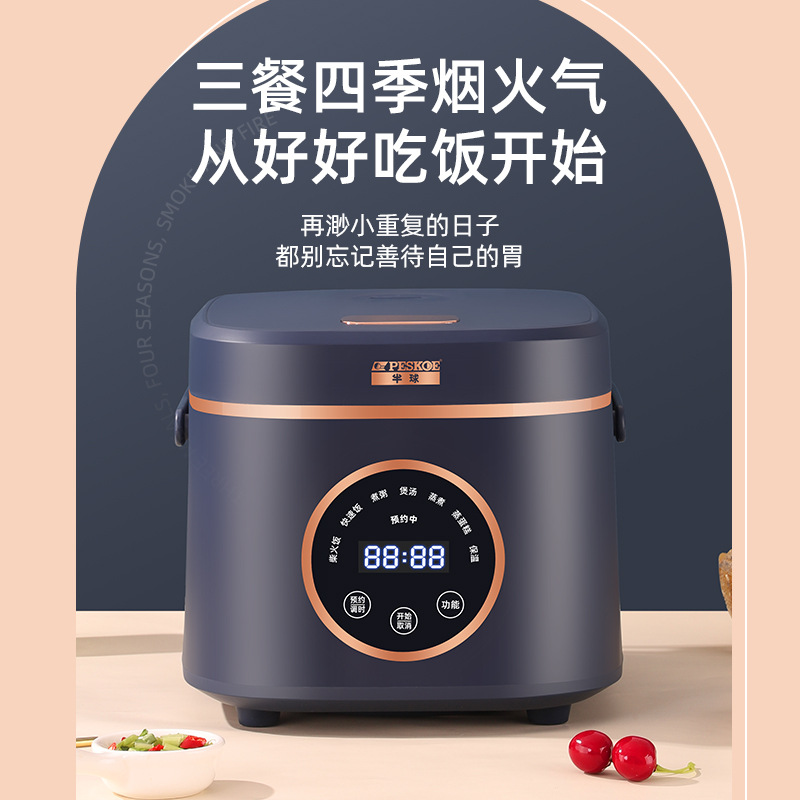 半球迷你电饭煲1.6l2l3升微压