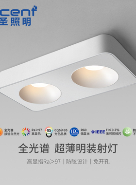 led明装射灯超薄吸顶全光谱双头斗胆灯防眩免打孔无主灯客厅照明