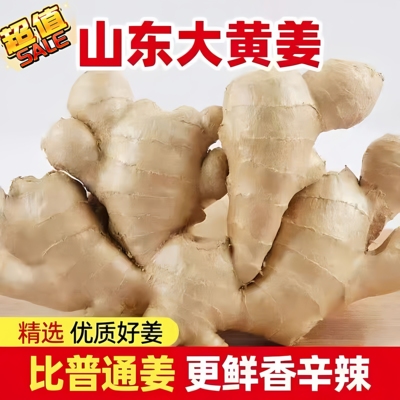 生姜山东大姜大黄姜风干姜优质姜新鲜纯天然老姜现挖大块老姜批发
