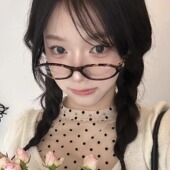 韩系ins博主小框椭圆豹纹眼镜女复古y2k辣妹玳瑁高级感纯欲眼镜框