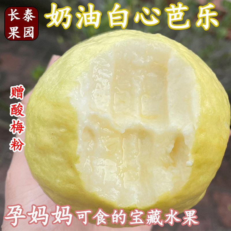 福建冰淇淋奶油白心芭乐新鲜孕妇水果漳州软糯番石榴包赔整箱包邮
