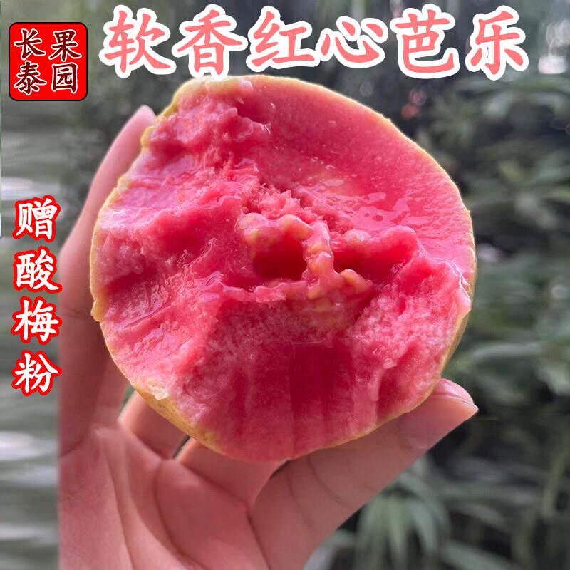 福建当季软糯软心冰淇淋红心芭乐番石榴水果新鲜包邮孕妇5斤整箱
