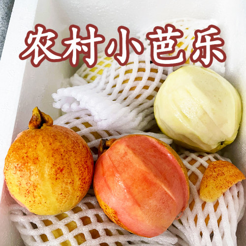 农村小芭乐软糯香甜混合装