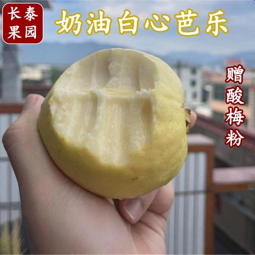 福建漳州奶油软糯白心芭乐番石榴当季孕妇水果新鲜 包邮 整箱 5斤