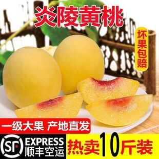 【官方授权】正宗炎陵黄桃当季新鲜大果红心锦绣湖南特产整箱包邮