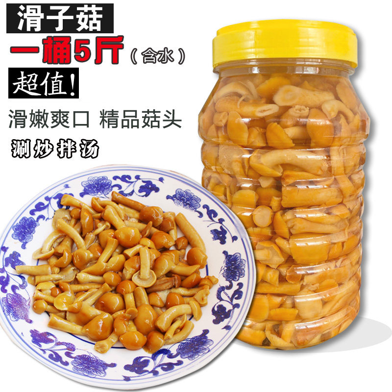 5斤含水滑子菇桶装滑菇新鲜滑子蘑滑菇罐头承德特产炒煲汤包邮