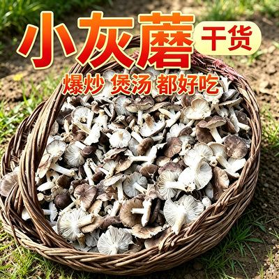 小灰蘑干 承德特产灰蘑 小草蘑 口蘑野生菌干货灰蘑棕灰口蘑 干货