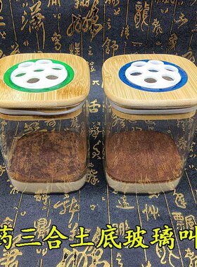 蟋蟀油葫芦透明玻璃叫罐