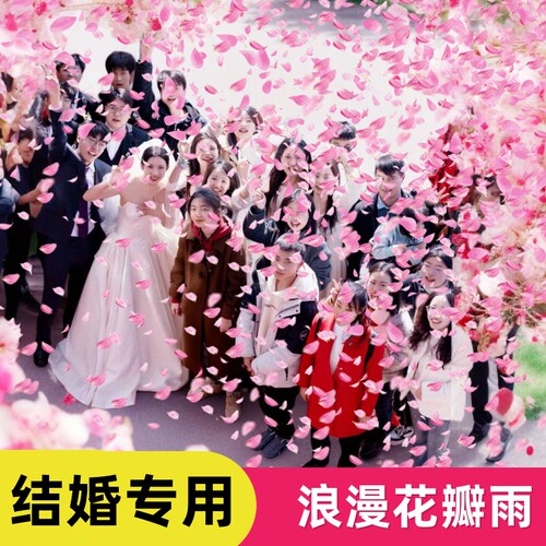 买到就是赚到加量花瓣雨哑炮包赔
