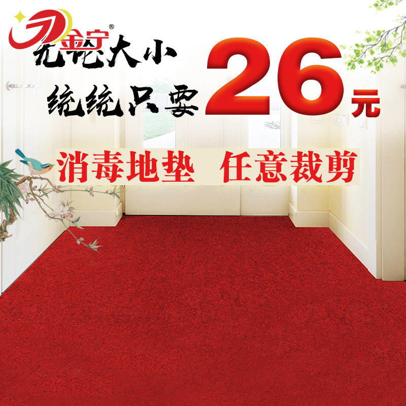 门口入户家用防滑吸水可裁剪地垫