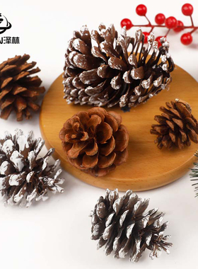 圣诞松果松塔装饰diy材料幼儿园环创配件棉花干花仿真松针手工