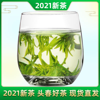 日照绿茶2023年新茶叶绿茶春茶毛尖散装明前茶春茶炒青绿茶浓香型