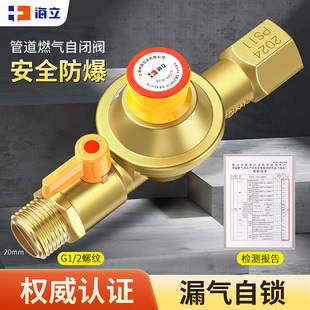 新国标燃气自闭阀纯铜家用煤液化气热水器自闭阀低压超压安全阀门