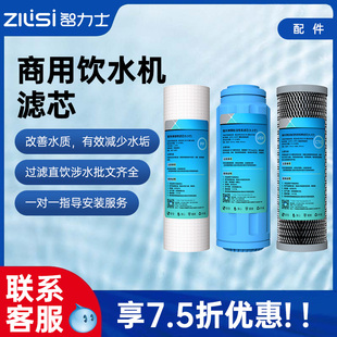 开水机滤芯9.5寸PP棉活性碳非通用智力士饮水机配件RO反渗透