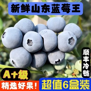 孕妇宝宝辅食蓝莓整箱125g4 顺丰 蓝莓鲜果水果新鲜当应季 6盒