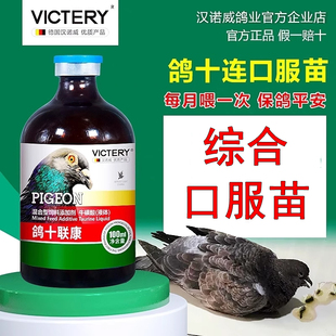 汉诺威鸽十联康非鸽药鸽用口服苗禽三联六疫清鸽子预防专用药大全