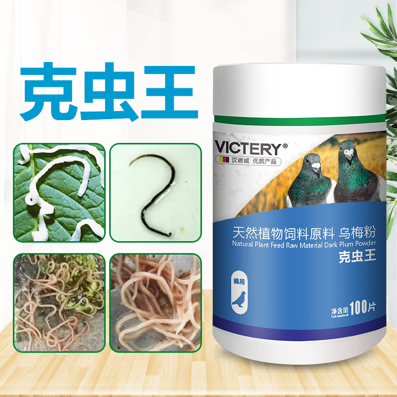 全虫清鸽子体内虫汉诺威克虫王