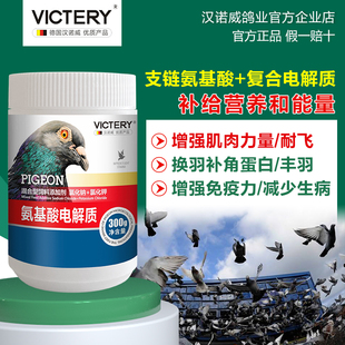 电解质鸽药止渴补能量氨基酸强肌肉丰满羽毛提升免疫力非鸽子药
