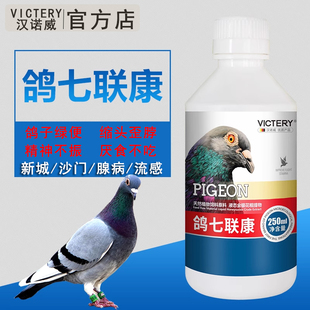 汉诺威鸽七联康非鸽子药鸽药赛鸽鸽子信鸽用品大全吐食甩食沙门氏