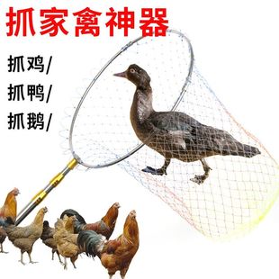 抓鸡神器捕捉鸡鸭鹅鸽子网兜抓鸡网兜户外抓鸡工具养殖场专用工具
