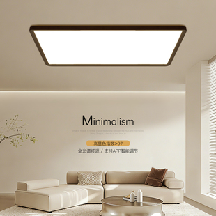 高端大气客厅主灯长方形简约现代led吸顶灯年轻人卧室灯房间灯具
