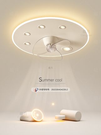 创意风扇灯，主卧室灯，简单现代Led吸顶灯，无主灯，客厅灯，餐