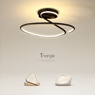 创意Led卧室灯休闲现代吸顶灯网红小客厅灯艺术餐厅书房中山灯