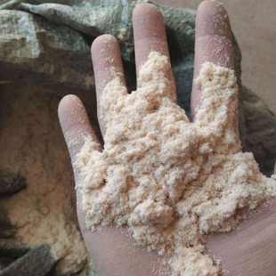 白蚁食物 白蚁活体 蚂蚁活体 白蚁宠物 白蚁活物 白蚁专用木粉