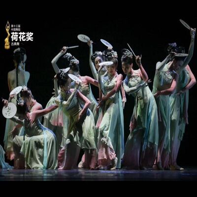 淡妆浓抹总相宜舞蹈服装女子团扇群舞表演服古典舞演出服套装新款