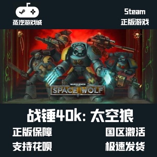 STEAM KEY Warhammer 40000 Space Wolf 战锤 40,000 太空狼40K