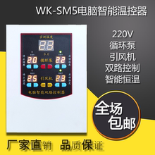 双路SM5水泵风机数控锅炉温控器 220V接线大功率数显智能自动开关