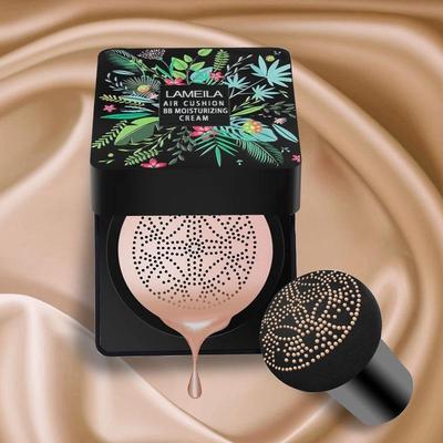 网红同款轻润蘑菇气垫BB霜粉底液遮瑕隔离修容bb霜女不易持久cc棒