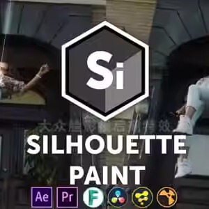 Silhouette Paint 2020.5.7 Win中文汉化