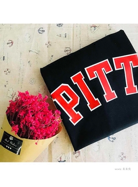 美国匹兹堡大学T恤短袖University of Pittsburgh匹大纪念品PITT