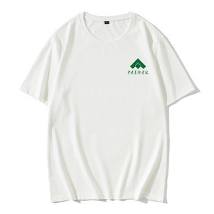 中央美术学院T恤短袖央美CAFA纪念品校徽班服徐悲鸿李苦禅母校棉t