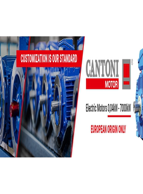 Cantoni Motor  IE2电机 2SIE90S2