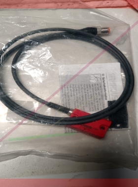 询价!安士能安全门开关,型号CES-I-AR-C04-USA-119473