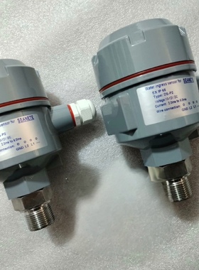 SEANETE DS-P2 船舱液位传感器 液位雷达探头