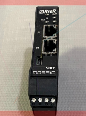 询价!询价利瑞奥REER控制器MOSAIC MBEP PROFIN