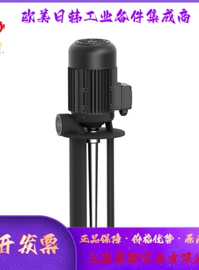 Brinkmann SLURP 潜水泵 TFL250...SFL1150