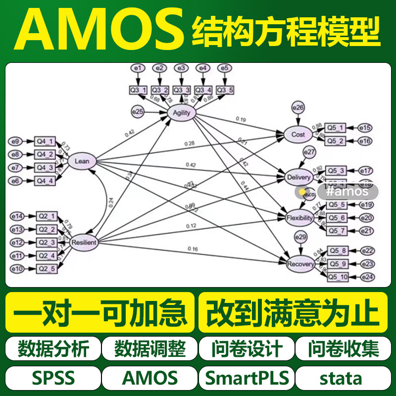大师姐AMOS 结构方程模型 中介 CR AVE 区分效度数据调整数据分析