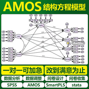 大师姐AMOS 结构方程模型 中介 CR AVE 区分效度数据调整数据分析