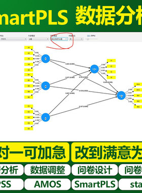 大师姐SmartPLS SEM 偏最小二乘法 数据分析中介分析结构方程模型