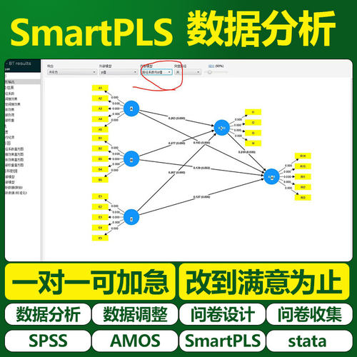 大师姐SmartPLS SEM偏最小二乘法数据分析中介多群组结构方程模型