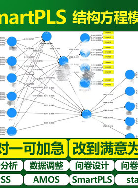 大师姐SmartPLS 结构方程模型  SEM 偏最小二乘法 数据调整分析