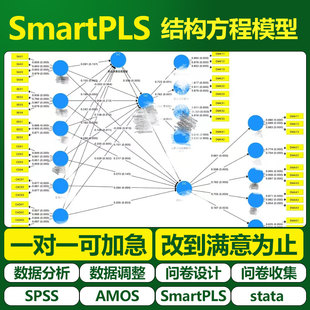 大师姐SmartPLS 结构方程模型 SEM 偏最小二乘法 数据调整分析