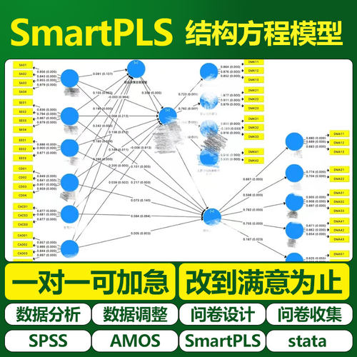 大师姐SmartPLS 结构方程模型  SEM 偏最小二乘法 数据调整分析
